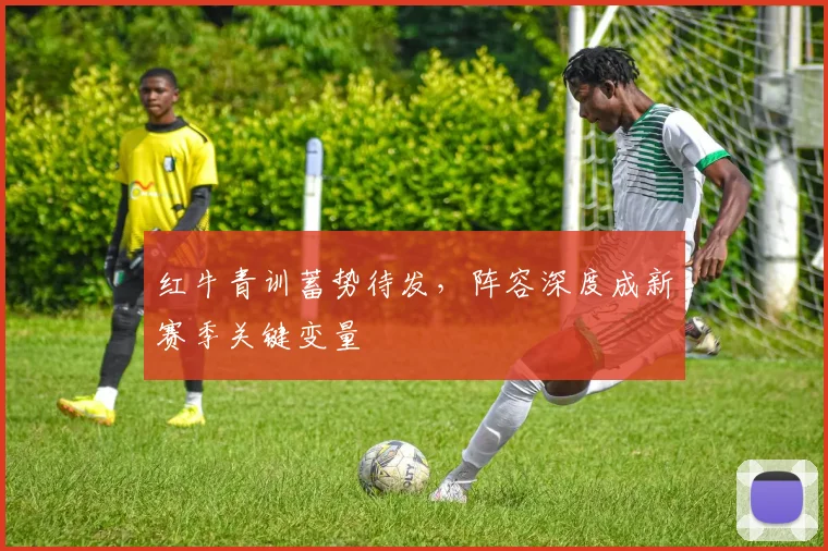 红牛青训蓄势待发，阵容深度成新赛季关键变量