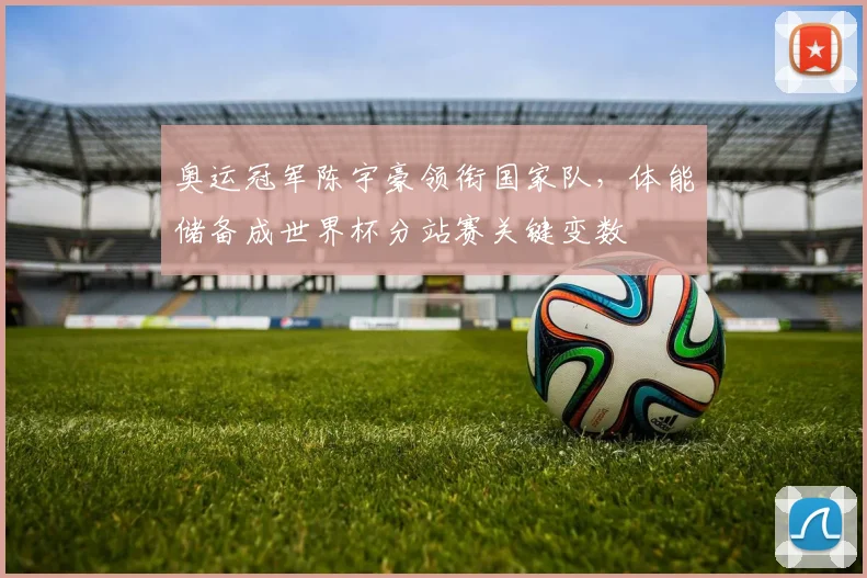 奥运冠军陈宇豪领衔国家队，体能储备成世界杯分站赛关键变数